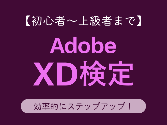 【初心者〜上級者まで】AdobeXD検定で効率的にステップアップ！